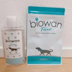 Item thumbnail for item a776dd81-2b8a-499b-8380-3df033ceec80