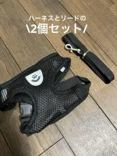 【新品】ブラック メッシュハーネスとリードセットSサイズ