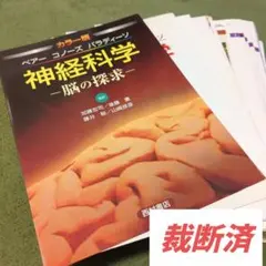 カラー版 ベアー コノーズ パラディーソ 神経科学 脳の探求 - メルカリ