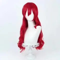 崩壊：スターレイル 姬子 コスプレ ウィッグ+ネット新品