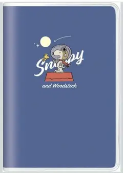 Item thumbnail for item c119d641-1e77-49c9-a183-c7e9c20de7b9