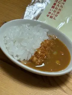ミニ食品サンプル　カツカレーライス
