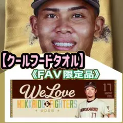 日ハム【WE LOVE HOKKAIDO& FIGHTERS クールフードタオルのサムネイル