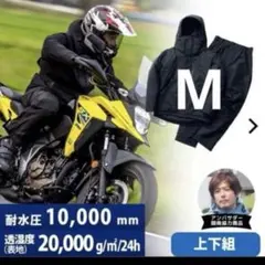 Item thumbnail for item 3ecf0dae-6f6a-42e1-a425-e590440a827b