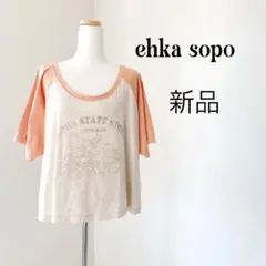 Item thumbnail for item a1b55ea2-7d43-4f41-9650-c447b81dd178