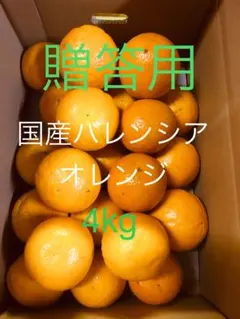 和歌山県有田産 無農薬有機肥料のみ完熟バレンシアオレンジ 10kg M〜L