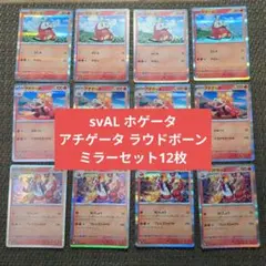 svAL ホゲータ アチゲータ ラウドボーン ミラーセット12枚(A)