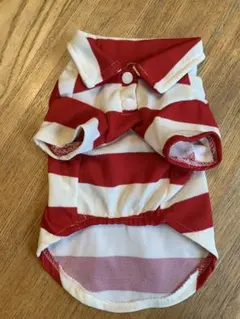 犬服 赤と白のストライプ ポロシャツ