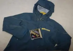 【レア】terrex GORE-TEX アクティブ レイン シェル