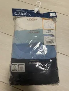 Item thumbnail for item a3a3c346-4886-4c42-a853-0ed5d6ca866b