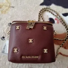 新品ジルスチュアート　バニティバッグ