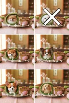 【69】すあま様パネル　なっちゃった桜餅わんこA