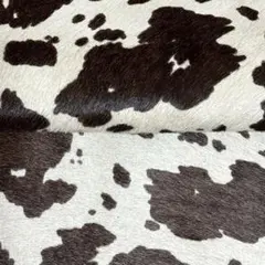 Item thumbnail for item 660c2348-3bba-4fdc-83b0-9d19f32a988d