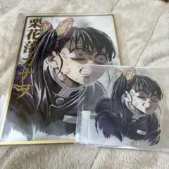 鬼滅の刃 C107 WEBSHOPくじ 栗花落カナヲ B賞 アクリル色紙 正規品