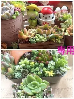 断捨離り子❣️『プロフ必読』様 リクエスト 2点 まとめ商品