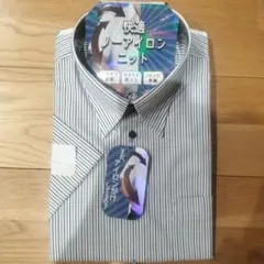 Item thumbnail for item cf075516-9da3-496b-8120-5b62f6a2d349