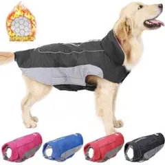 Item thumbnail for item da147cdd-d1ac-48ff-91f2-ac4798285eff