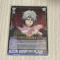 2026年最新】家庭教師ヒットマンreborn ヴァイスシュヴァルツブラウの