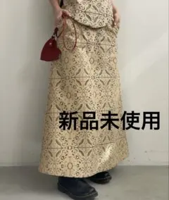 ⚫︎新品未使用⚫︎【AMERI】MODUALL LACE SKIRTのサムネイル