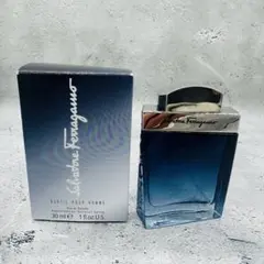 フェラガモ サブティールプールオム オードトワレ 30ml 香水のサムネイル