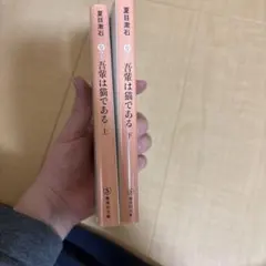 Item thumbnail for item d515df99-0b76-4161-9466-8bb37e99f282