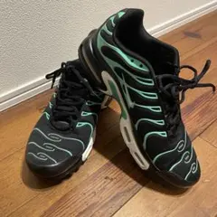 【激レア】 AIR MAX PLUS エアマックスプラス 海外限定モデル