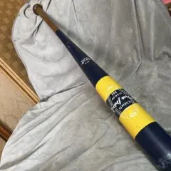 Item thumbnail for item d337951c-c160-4282-8227-20b30f2f2b22