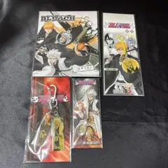 BLEACH 日番谷冬獅郎 黒崎一護 キーホルダー 4点セット