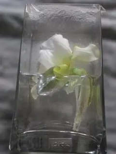 EMILIO ROBBA アートフラワー