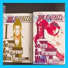 [裁断済] BLEACH 小説 完結全巻セット