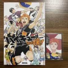 Item thumbnail for item 9c23c7ed-e85d-40d6-9c23-9693b10d897c