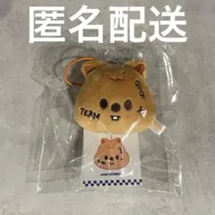 【新品未使用】ケイタ　マスターぬいぐるみ　イタくん EVNNE ケイタ イタくん ぬいぐるみ - メルカリ