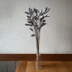 シラン ホワイト 花殻 40～55cm 30本 ＊ 紫蘭 お正月飾り