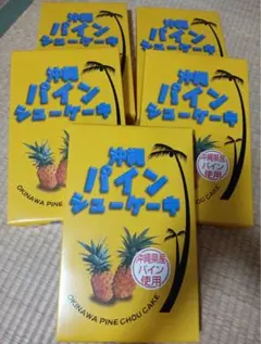 ぴーちゃん様　専用★お試し★とお菓子セット