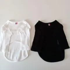 Item thumbnail for item e5030855-a978-485c-8527-e9434626da12