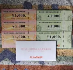 ビックカメラ コジマ 株主優待券 6000円分