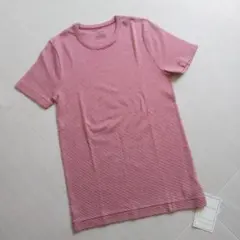 【新品未使用】トゥモローランド　Tシャツ　ボーダー