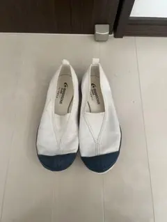 MOONSTAR 上履き　23cm