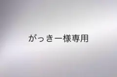 がっきー様専用