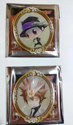 家庭教師ヒットマンREBORN フレームスタイルマグネット　沢田綱吉　リボーン