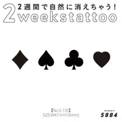 Item thumbnail for item 6dc8f741-c1dd-41f8-851a-1c8d94763de4