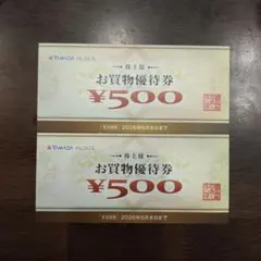 ヤマダホールディングス　お買い物優待券　¥500×2枚