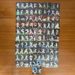 プロ野球チップス 2022 読売ジャイアンツ