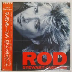 ロッドスチュワート/カムフラージュ