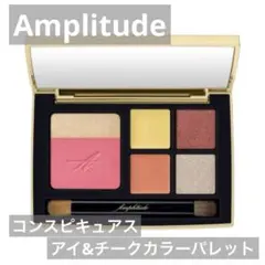 アンプリチュード ♡ コンスピキュアス アイ&チークカラーパレット　新品未使用
