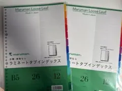 Item thumbnail for item 2491af4a-fff0-4040-a233-2a3f2e84cbaa