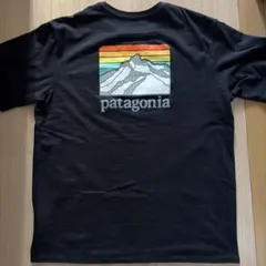 patagonia パタゴニア ポケットTシャツ ブラック