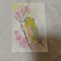 Item thumbnail for item 7d1ba2f8-461f-4ed4-8827-1e0240a4d591