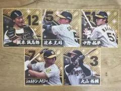 阪神タイガース 色紙コレクション2 【5枚セット】