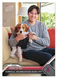 ㊗️大谷翔平&愛犬デコピン topps NOW MVPドジャース エンゼルス